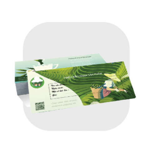 Phiếu Bảo Hành - Warranty Card